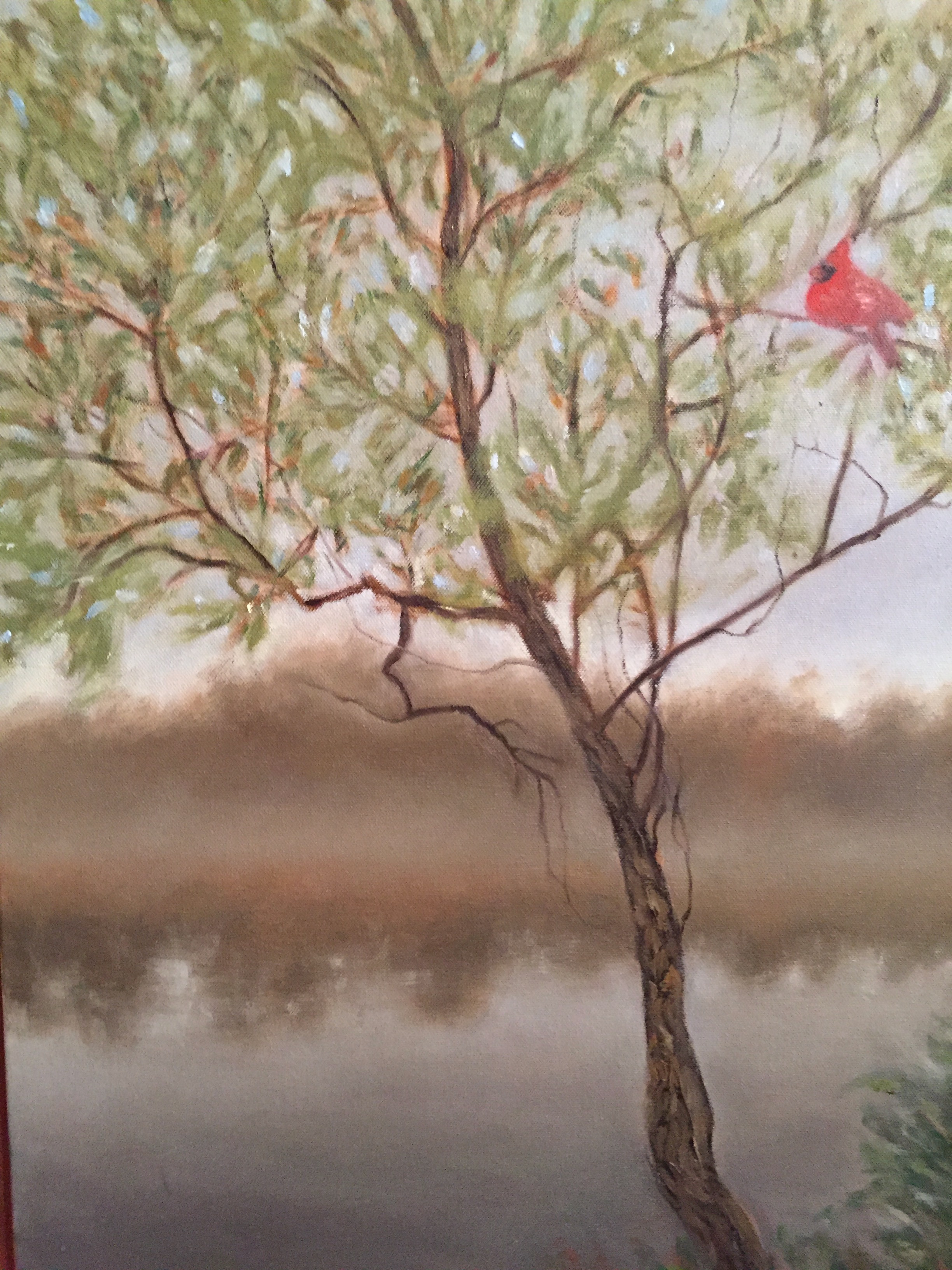 Cardinal, Sunset by Nancy Ziegler